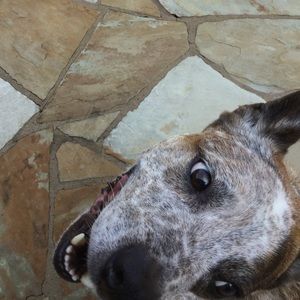 Meet your Posher, Leigh